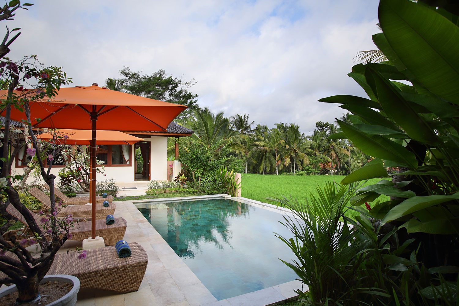 Six serene private pool villas in Ubud, Bali